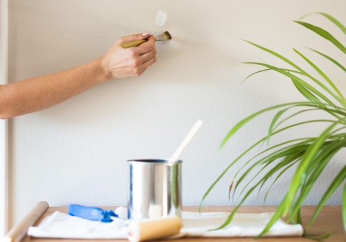 touch up & repainting