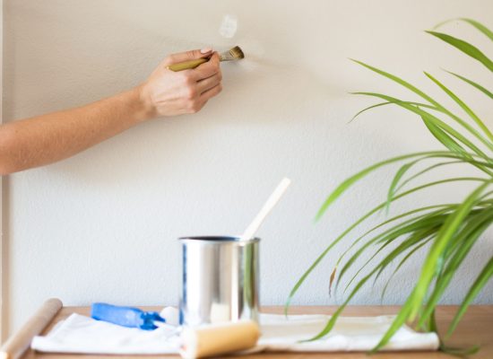 touch up & repainting